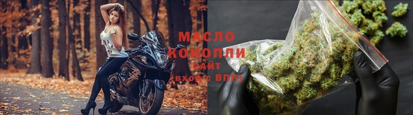 твердый Заводоуковск