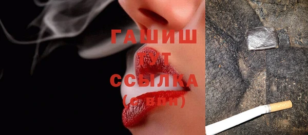 твердый Заводоуковск