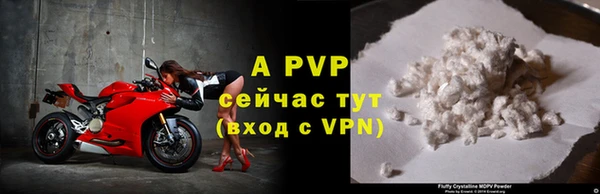 твердый Заводоуковск