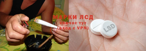 твердый Заводоуковск