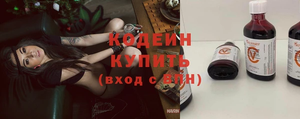 твердый Заводоуковск