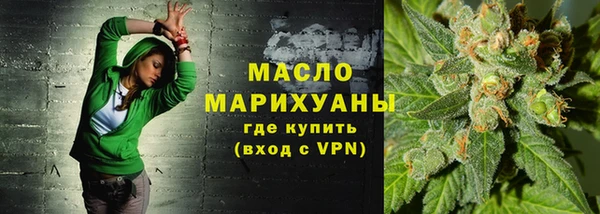 твердый Заводоуковск