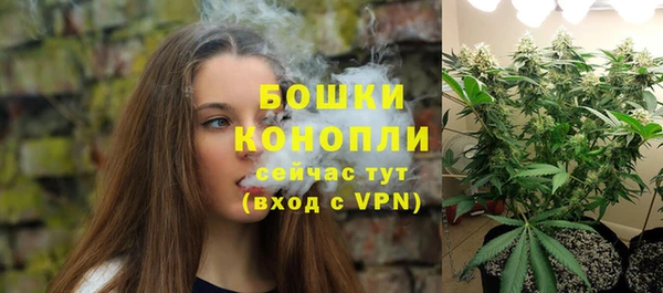 твердый Заводоуковск